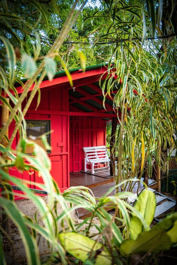 Pura Vida Mini Hostel Santa Teresa Playa Santa Teresa  Экстерьер фото