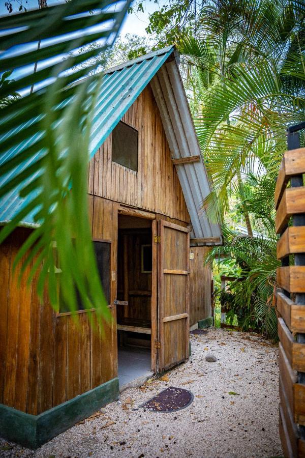 Pura Vida Mini Hostel Santa Teresa Playa Santa Teresa  Экстерьер фото