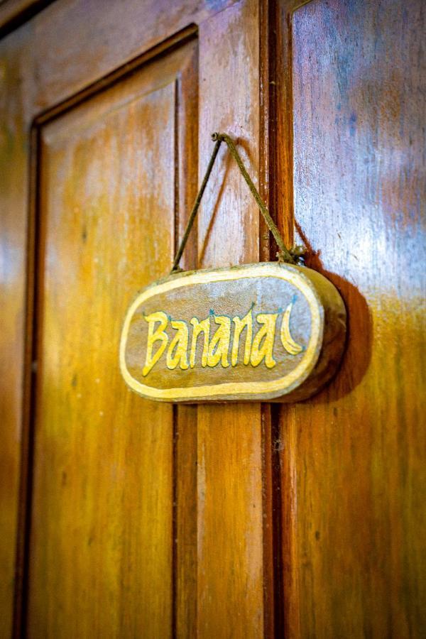 Pura Vida Mini Hostel Santa Teresa Playa Santa Teresa  Экстерьер фото