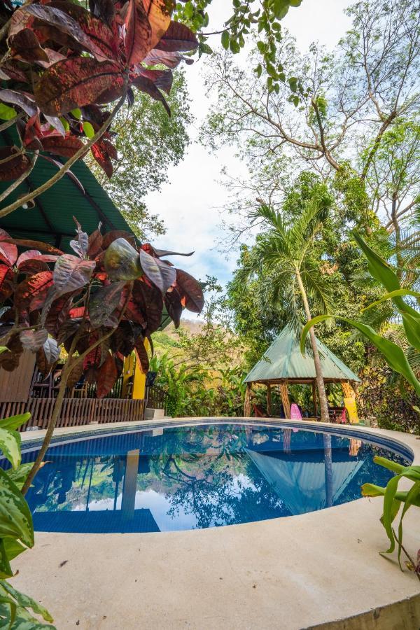 Pura Vida Mini Hostel Santa Teresa Playa Santa Teresa  Экстерьер фото