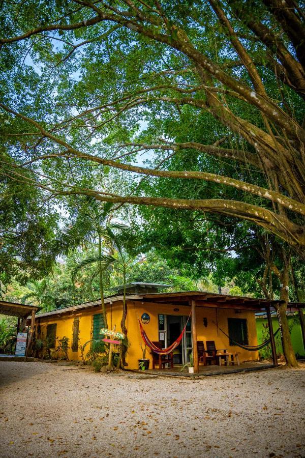 Pura Vida Mini Hostel Santa Teresa Playa Santa Teresa  Экстерьер фото